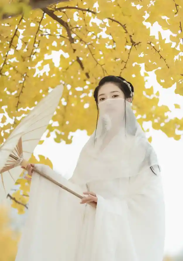无码专区在线观看韩国_久久久久久精品影院_久久久久久人妻一区精品
