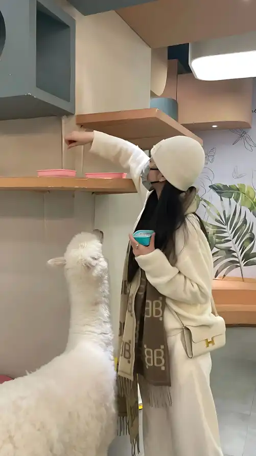 无码专区在线观看韩国_久久久久久精品影院_久久久久久人妻一区精品