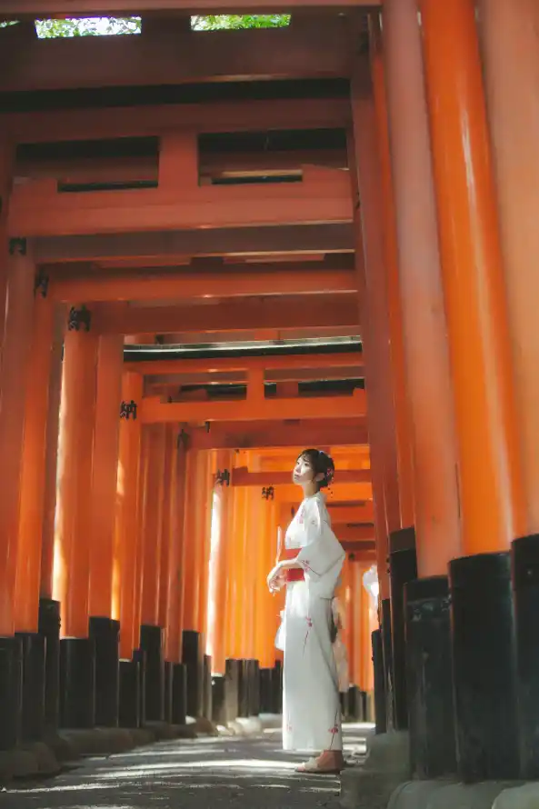 无码专区在线观看韩国_久久久久久精品影院_久久久久久人妻一区精品